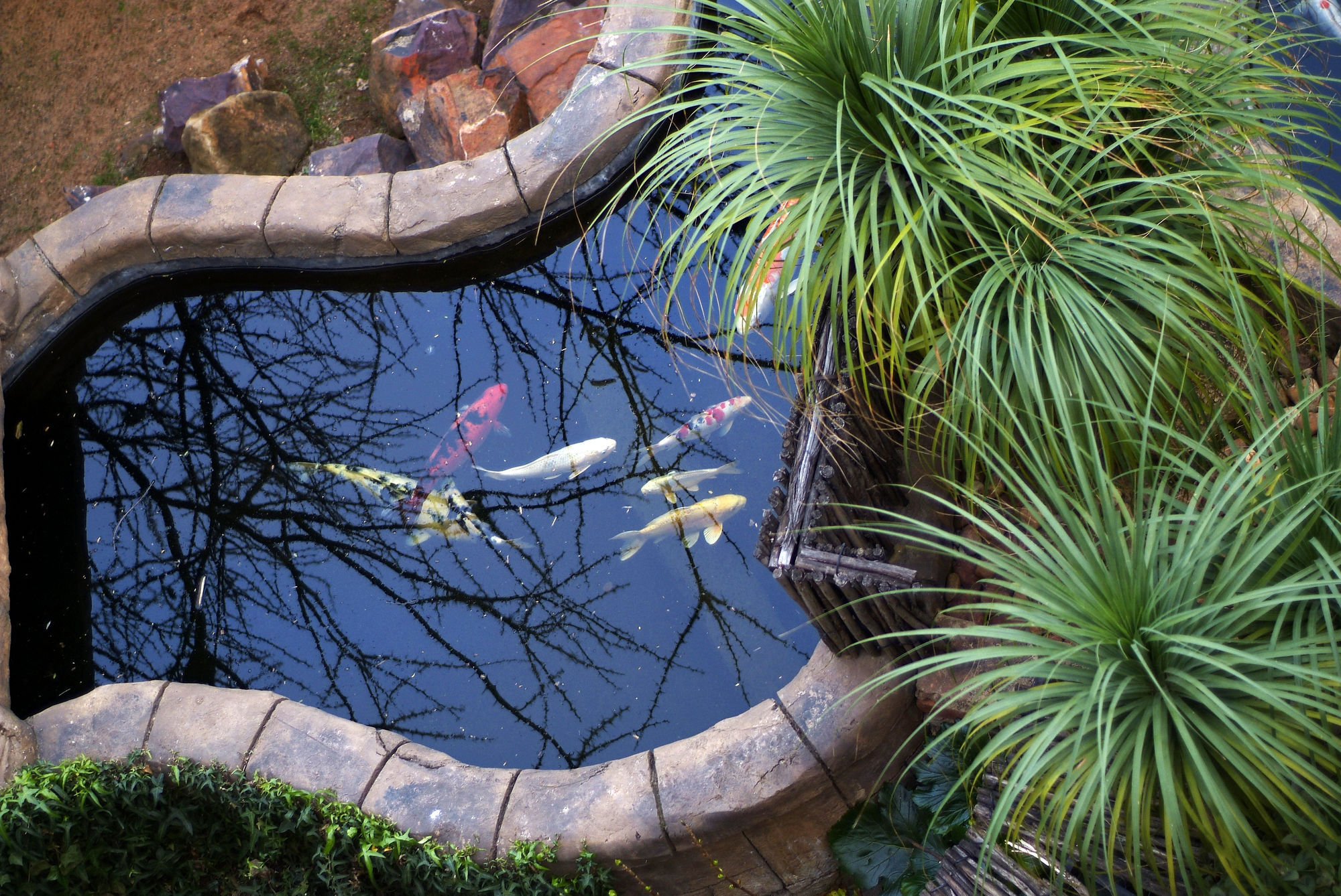 Waterfalls Boutique Hotel Pretoria-Noord Buitenkant foto